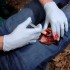 Аппликатор гемостатический с гранулами Rhino Rescue в Красноярске хитозановый